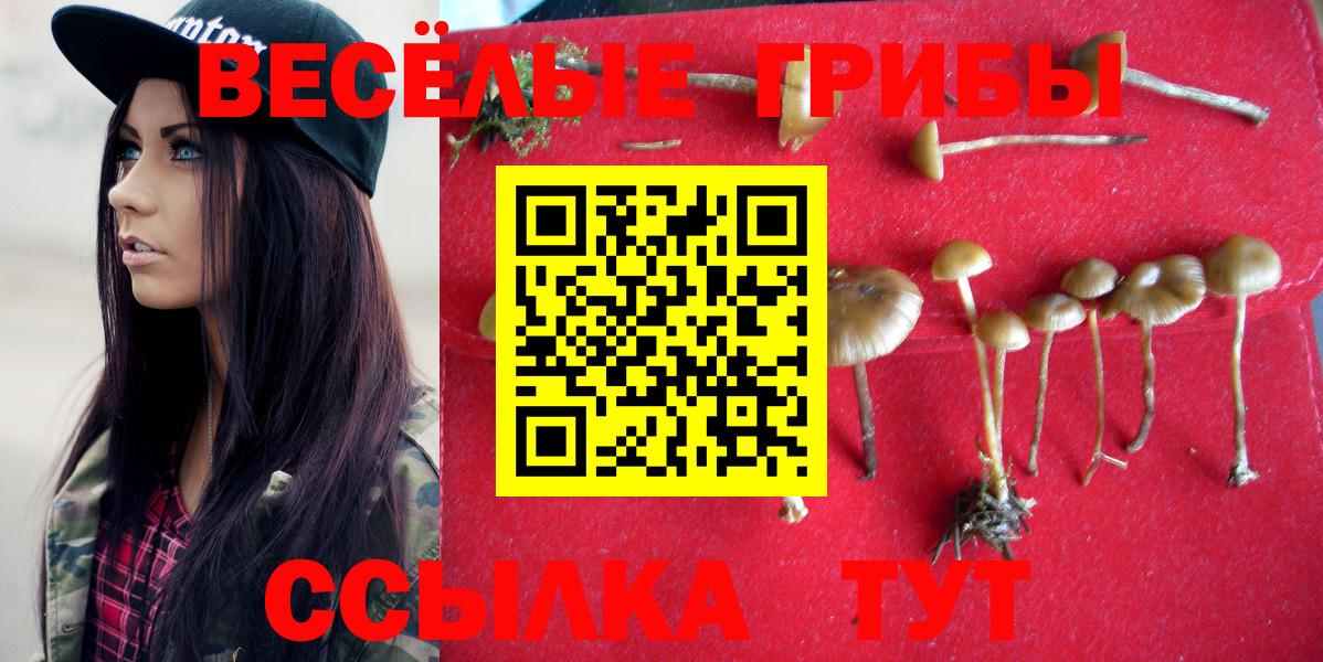 Галлюциногенные грибы ЛСД  Вход с VPN  Воркута 